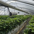 배재대학교부속유치원 이미지