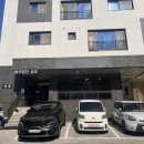 페티포티 이미지