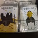 펫뜨락 | 건대 냥토피아