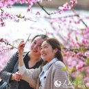 광산민박 이미지