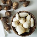 주식회사 더내추럴 이미지