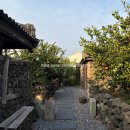 클랭블루수동커플&독채&감성숙소 | 제주 클랭블루수동 모커리 / 10만원대 감귤밭 감성숙소 내돈내산 솔직후기