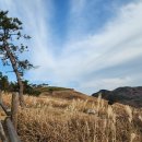 사하구-23 이미지