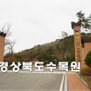 경상북도 수목원 가을에 꼭 다시 다녀와야죠 포항수목원