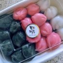 공주 산성시장 먹거리 추천｜운 좋게 만난 부자떡집 꿀떡 &amp; 공주 알밤호떡 후기🍯🌰