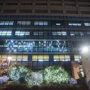 구청 광장 대로변 이미지