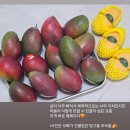 동부팥죽 | 일상/죽전떡집 소담떡방 버터떡 후기/창억떡 호박인절미 동부인절미 후기/죽전 미용실 아르몽드/수지...