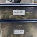 탕대팔 이미지