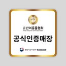 버디독 고양이분양 강아지분양 안심분양센터 인천점 이미지