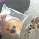 착한고깃간 부영 이미지