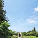 동광리-7 이미지