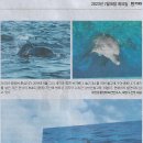 종합수족관