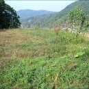 고령농장 이미지