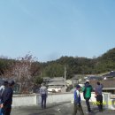 율사리 마을회관 Daum카페