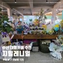 지민20 | BTS 지민 아버지 카페, 부산 대연동 대형카페 지밀레니얼 ZM-ILLENNIAL 다녀온 후기