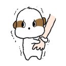 아이봄 동물병원 네이버블로그