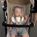 수미르 | 일본 ୧ 싸이벡스 리베르 ୨ 구매 후기 ⁞ 가격, 예약 방법