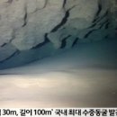 다이버스리퍼블릭