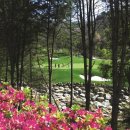 마운틴소프트웨어 이미지