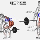 백천헬스 이미지