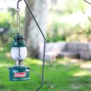 잉카마야박물관캠핑장 이미지