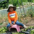 아유란농원 이미지