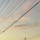 그루밍마벨 이미지