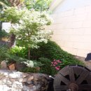 물레방아펜션 이미지