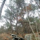 양리샘터 Daum카페