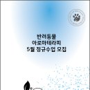 반려동물 아로마 테라피 자격증 이미지
