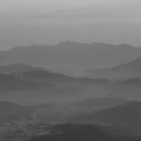 도시의 아침 이미지