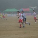 일죽중·고등학교 Daum카페