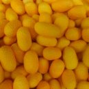 태양농장 이미지