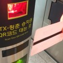 (자)승*수 이미지