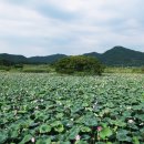 병영면사무소 이미지