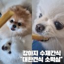 대한견식 | 대한견식 강아지 수제간식 소떡심 내돈내산