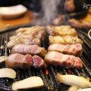 행복애돈