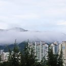 운무속의 앞산 이미지