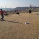 워킹애니멀스쿨 이미지