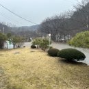 삼강식물원 이미지