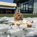 개스트하우스 청주점 이미지