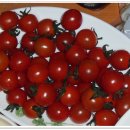 팔공사슴농장 이미지