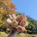 수원 호텔리츠 웨딩홀, 가우디웨딩 본식 후기