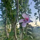 무궁화동산 화장실 이미지