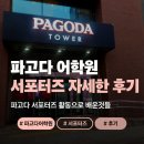 [파고다 서포터즈] 활동 후기와 총평