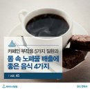 카페인 부작용 5가지 질환과 몸 속 배출에 좋은 음식 4가지 이미지