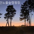 노을숲캠핑장 이미지