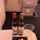 A350 | 스위스 항공 후기 A350 첫 운항 타게된 우리의 신혼여행 (+엑스트라 레그룸 좌석)