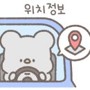 스탠퍼독 이미지