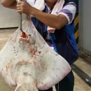 파도수산 앞 이미지